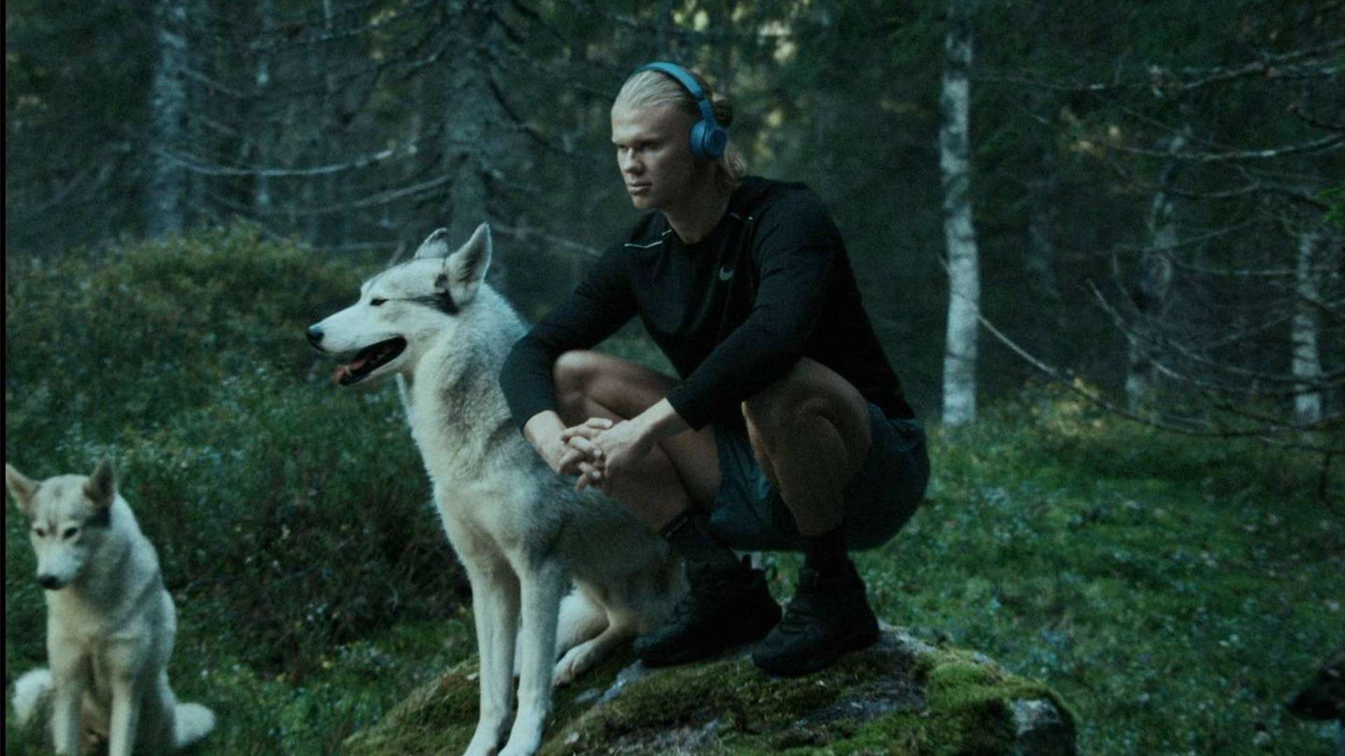 创造更加辉 创造更加辉