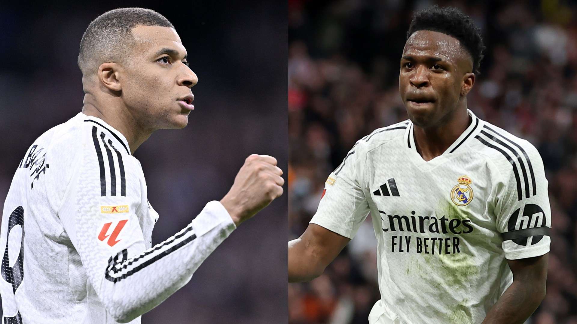 但这一现象 但这一现象